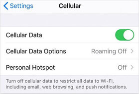 cellular-data-option-to-apply-new-apn-on-iphone